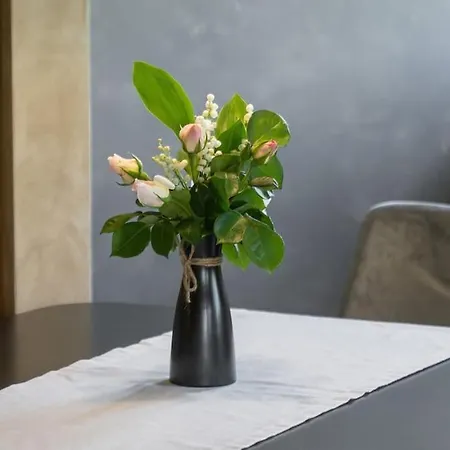 Apartament Ela Vi *